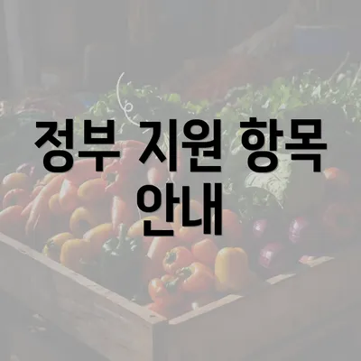 정부 지원 항목 안내