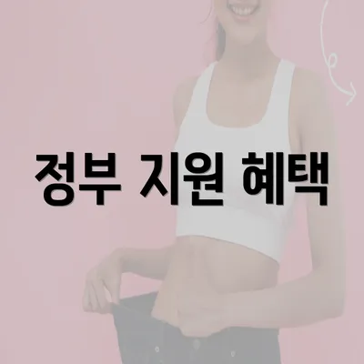 정부 지원 혜택