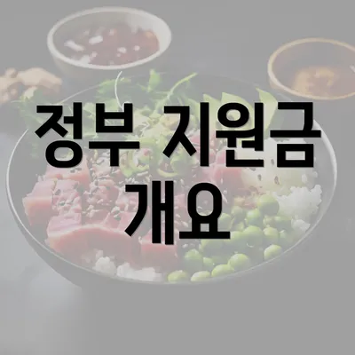 정부 지원금 개요