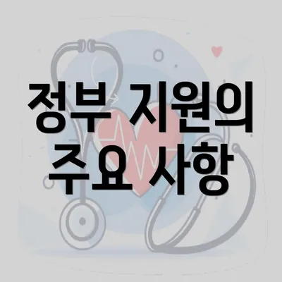 정부 지원의 주요 사항