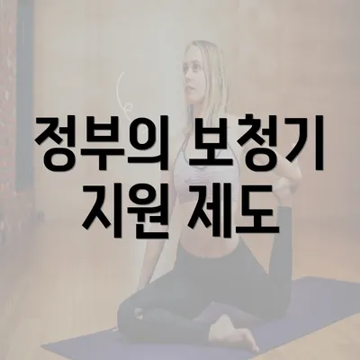 정부의 보청기 지원 제도