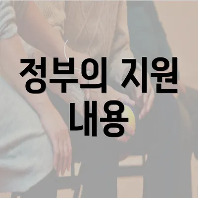 정부의 지원 내용