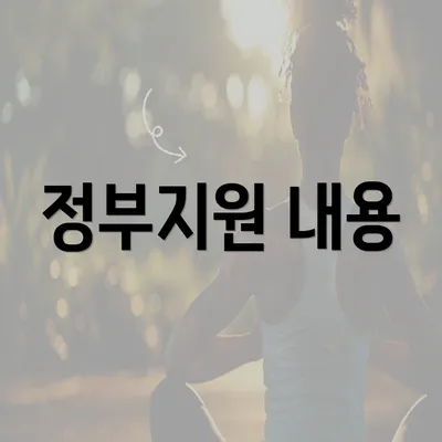 정부지원 내용