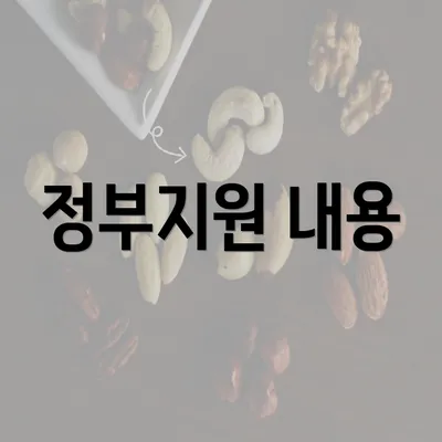 정부지원 내용