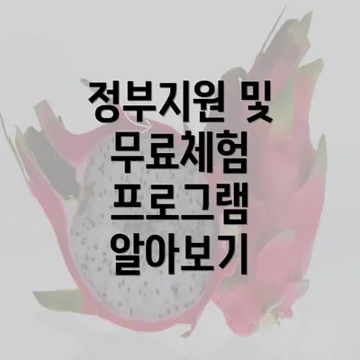 정부지원 및 무료체험 프로그램 알아보기