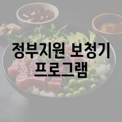 정부지원 보청기 프로그램