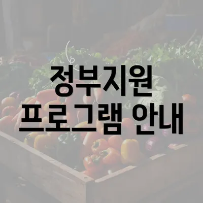 정부지원 프로그램 안내