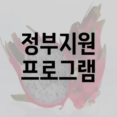 정부지원 프로그램