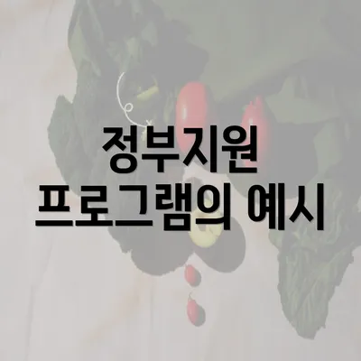 정부지원 프로그램의 예시