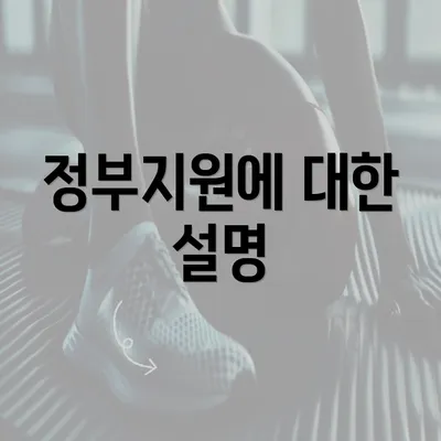 정부지원에 대한 설명