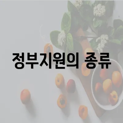 정부지원의 종류