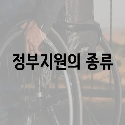 정부지원의 종류