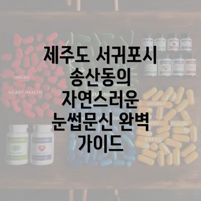 제주도 서귀포시 송산동의 자연스러운 눈썹문신 완벽 가이드