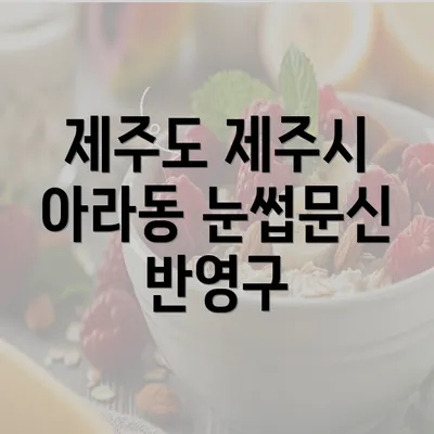 제주도 제주시 아라동 눈썹문신 반영구