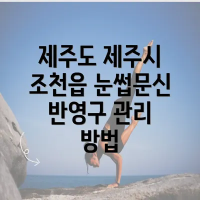 제주도 제주시 조천읍 눈썹문신 반영구 관리 방법