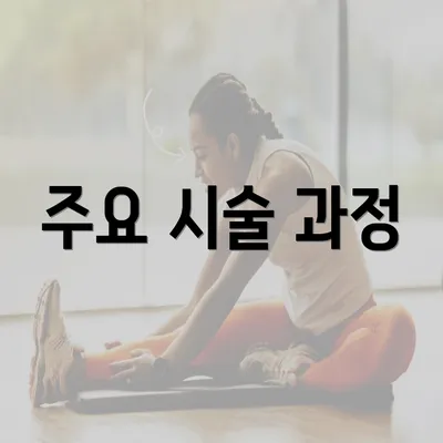 주요 시술 과정