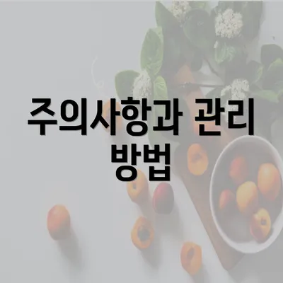 주의사항과 관리 방법