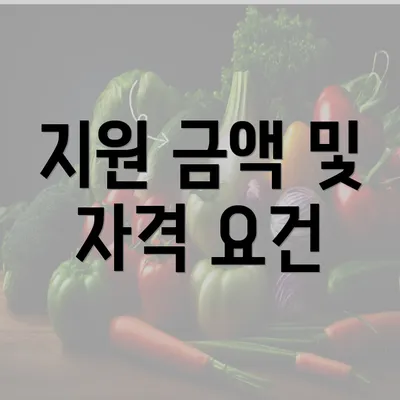 지원 금액 및 자격 요건