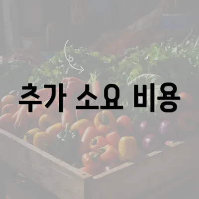 추가 소요 비용