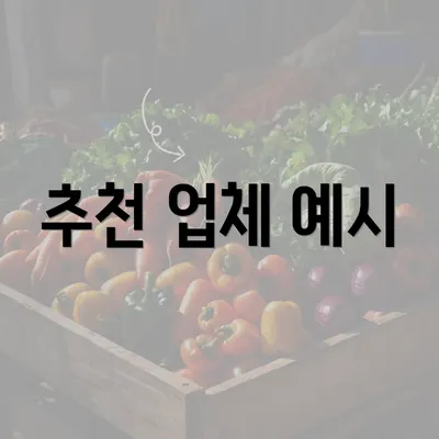 추천 업체 예시