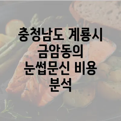 충청남도 계룡시 금암동의 눈썹문신 비용 분석