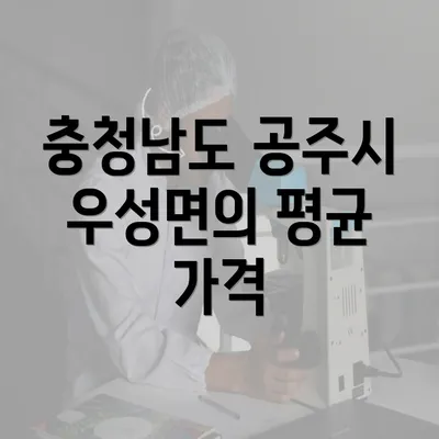 충청남도 공주시 우성면의 평균 가격