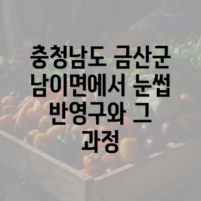 충청남도 금산군 남이면에서 눈썹 반영구와 그 과정