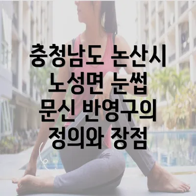 충청남도 논산시 노성면 눈썹 문신 반영구의 정의와 장점