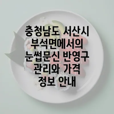 충청남도 서산시 부석면에서의 눈썹문신 반영구 관리와 가격 정보 안내