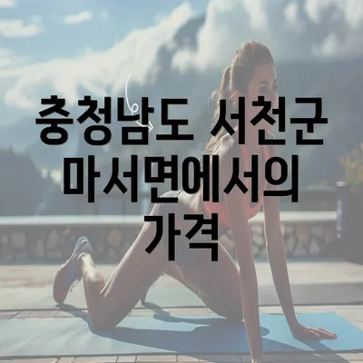 충청남도 서천군 마서면에서의 가격