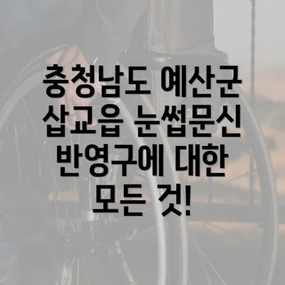 충청남도 예산군 삽교읍 눈썹문신 반영구에 대한 모든 것!