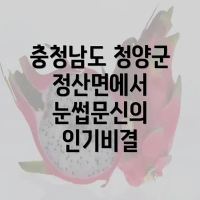 충청남도 청양군 정산면에서 눈썹문신의 인기비결