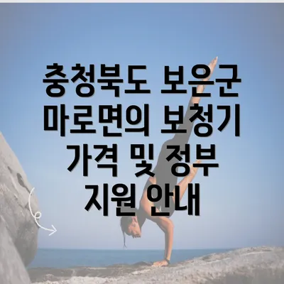 충청북도 보은군 마로면의 보청기 가격 및 정부 지원 안내