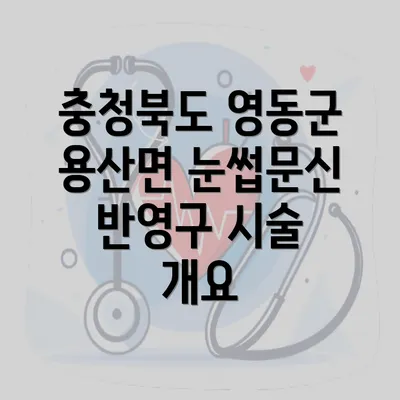 충청북도 영동군 용산면 눈썹문신 반영구 시술 개요