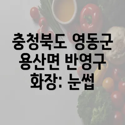 충청북도 영동군 용산면 반영구 화장: 눈썹