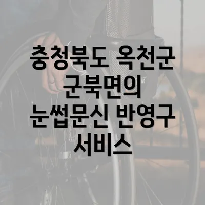 충청북도 옥천군 군북면의 눈썹문신 반영구 서비스