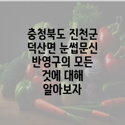 충청북도 진천군 덕산면 눈썹문신 반영구의 모든 것에 대해 알아보자