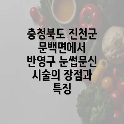 충청북도 진천군 문백면에서 반영구 눈썹문신 시술의 장점과 특징