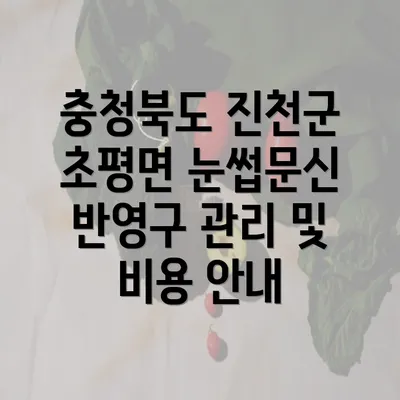 충청북도 진천군 초평면 눈썹문신 반영구 관리 및 비용 안내