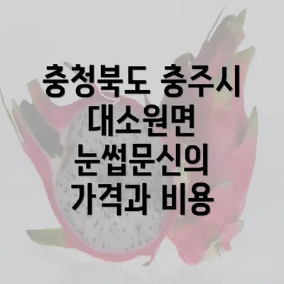 충청북도 충주시 대소원면 눈썹문신의 가격과 비용