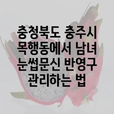 충청북도 충주시 목행동에서 남녀 눈썹문신 반영구 관리하는 법