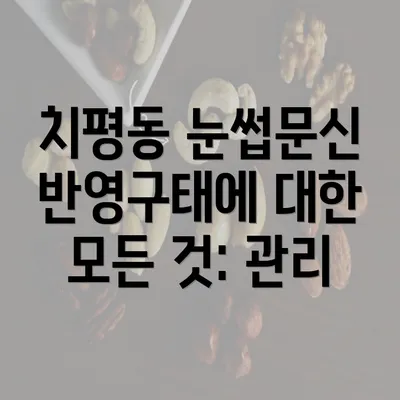 치평동 눈썹문신 반영구태에 대한 모든 것: 관리