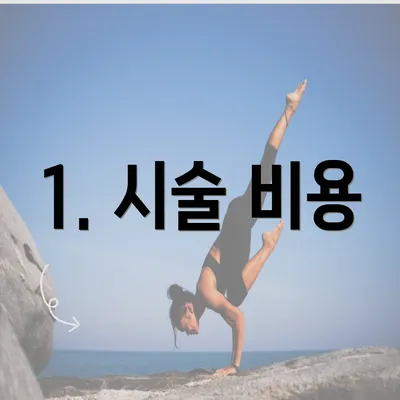 1. 시술 비용