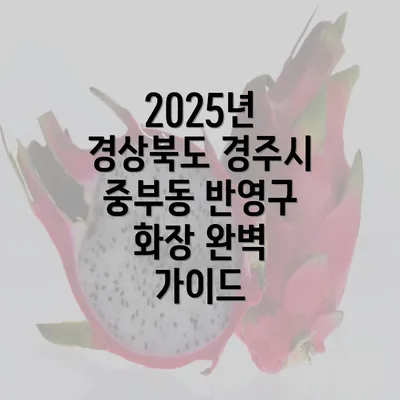 2025년 경상북도 경주시 중부동 반영구 화장 완벽 가이드