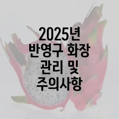 2025년 반영구 화장 관리 및 주의사항