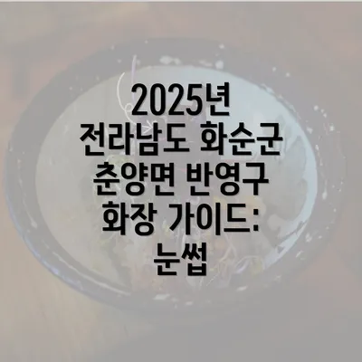 2025년 전라남도 화순군 춘양면 반영구 화장 가이드: 눈썹