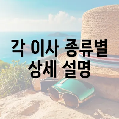 각 이사 종류별 상세 설명