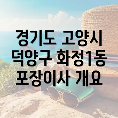 경기도 고양시 덕양구 화정1동 포장이사 개요