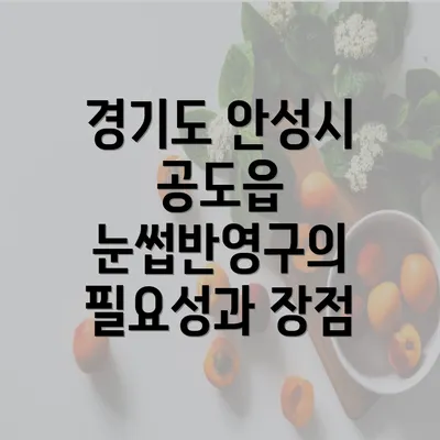 경기도 안성시 공도읍 눈썹반영구의 필요성과 장점