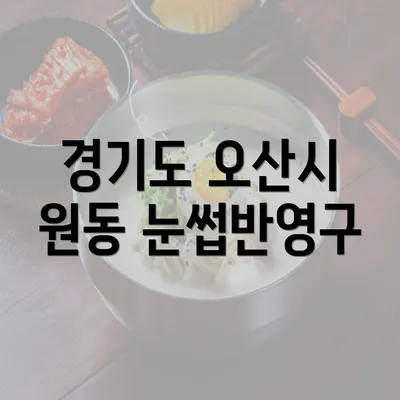 경기도 오산시 원동 눈썹반영구